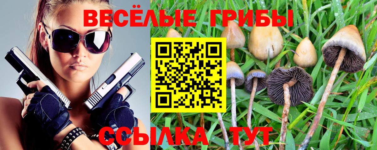 Павловский Посад  Псилоцибиновые грибы Magic Shrooms  Псилоцибиновые грибы GOLDEN TEACHER  Вход с VPN 