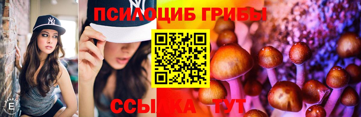Псилоцибиновые грибы мухоморы Павловский Посад
